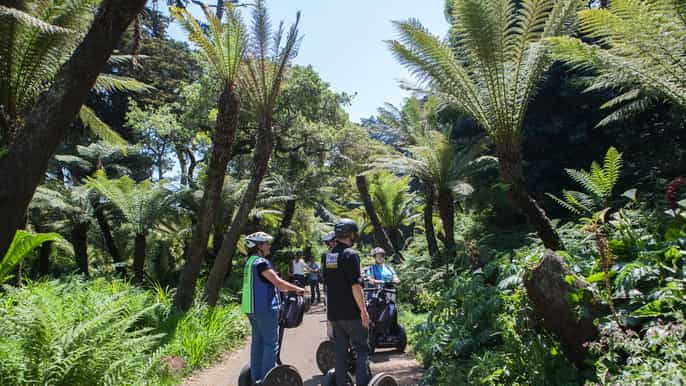 san francisco golden gate park segway tour