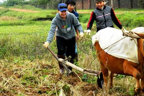 private wet rice growing day tour from hanoi with lunch