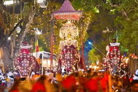 Kandy: Esala Perahera Experimenta como um local 2025