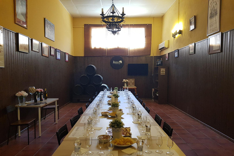 Bodegas Quitapenas: Guided Tour + Wine Tasting Quitapenas Winery: Guided Visit + Wine & Ham