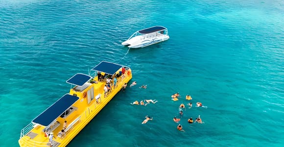 Experience the Exciting Caribbean Underwater World