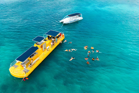 Erlebe die aufregende karibische UnterwasserweltEntdecke das Wrack und schwimme mit den Schildkröten und tropischen Fischen