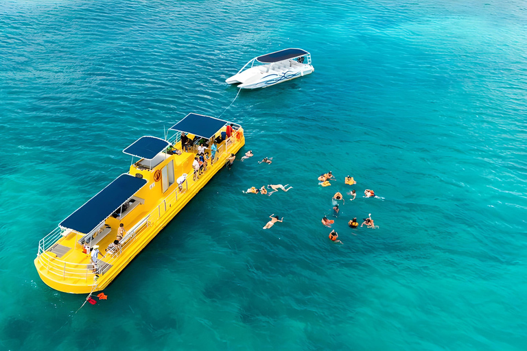 Experimenta el Emocionante Mundo Submarino del CaribeDescubre el pecio y nada con las tortugas y los peces tropicales