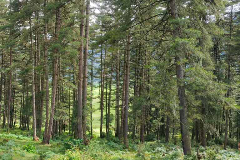 7-Days in Bhutan with River Rafting, Farm Lunch & Stone Bath