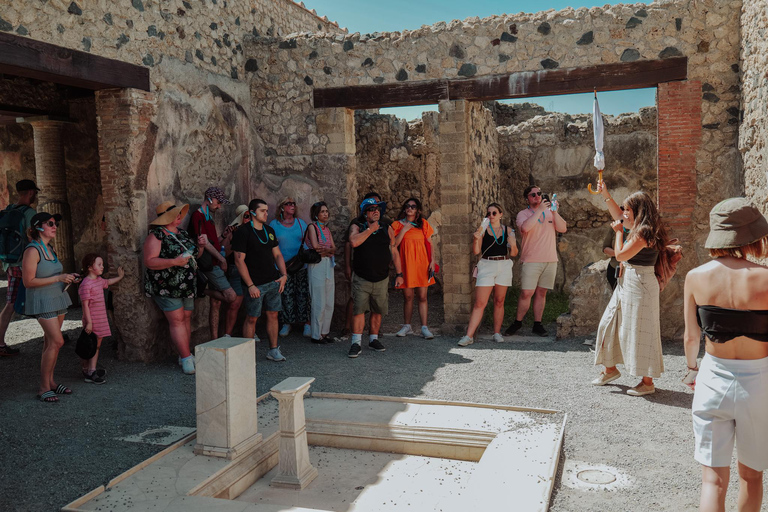 Pompeii: Guided Tour and Tasting Experience inside the Ruins