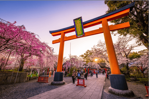 3 jours de visite privée d'Osaka, Kyoto et Nara avec chauffeur anglais