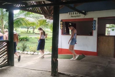 Ogród Śpiącego Olbrzyma z wycieczką do gorących źródeł Tifajek MudpoolHotele w Nadi / Port Denarau / Double Tree / Odbiór z Vuda