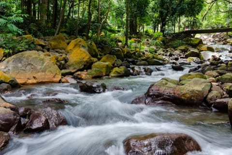 Bacolod: Mambukal Mountain Resort Day Tour - Image 2