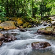 Bacolod: Mambukal Mountain Resort Day Tour