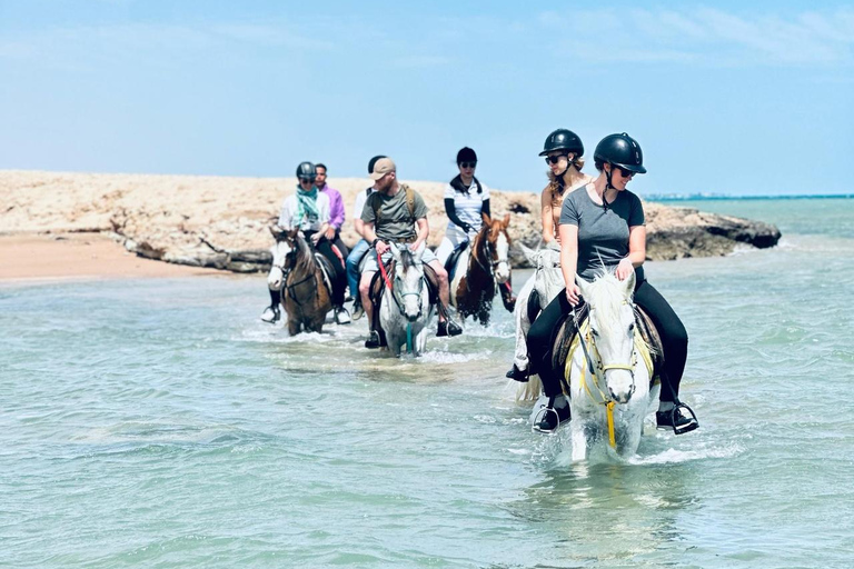 الغردقة: جولة ركوب الخيل في الصحراء والبحر مع خيار السباحةجولة لمدة ساعتين لركوب الخيل بدون السباح