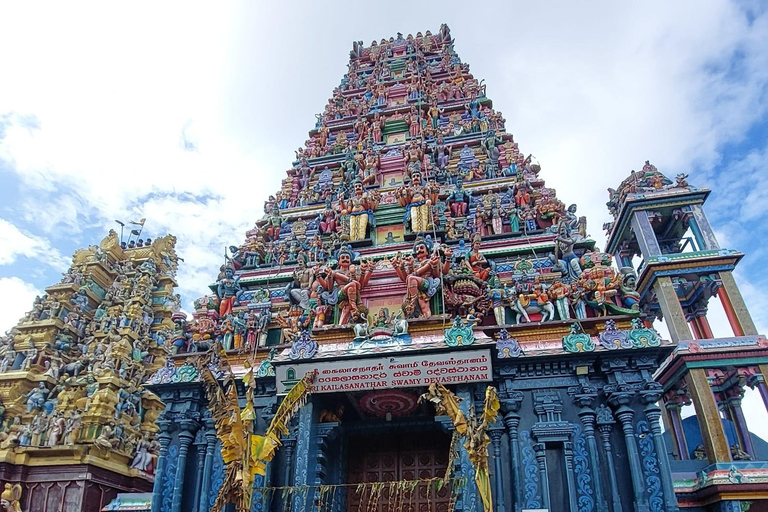 Negombo City Tour: Culture, Markets & Local Life: By Tuk tuk