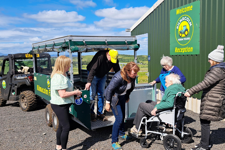 Glasgow: Highland Cow Trailer Tour with home baking