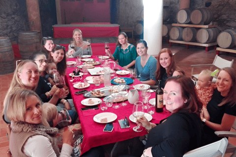 Vineyard Walk & Wine Tasting in the Berici Hills of Vicenza