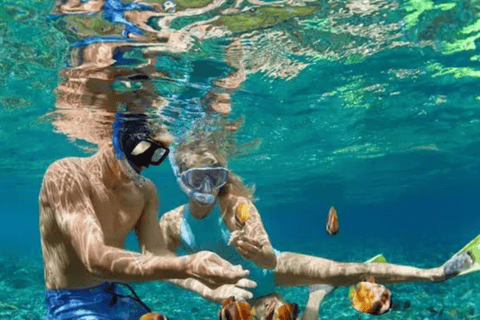 Zanzibar: Private Snorkeling Tour At Mnemba Island