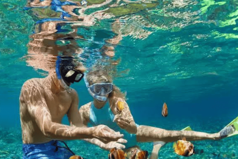 Zanzibar: Private Snorkeling Tour At Mnemba Island