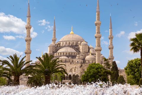 Istanbul Discovery: 3 Nights Hotel Stay & Private Tour Istanbul 3-Night Private Tour & Bosphorus Dinner Cruise