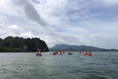 Krabi: Ao Thalane Mangrove Kayaking Tour with Pickup Half Day Kayak - Morning Session