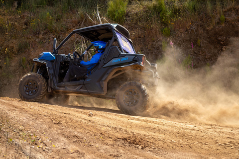 Madeira: Trail Thrill Buggy-tur