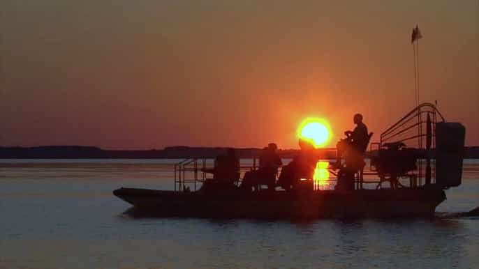 orlando everglades moonlight swamp safari airboat tour