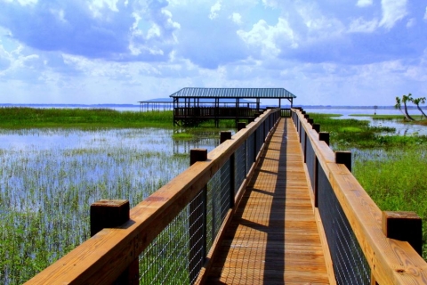 Orlando: toegang tot Wild Florida Park en een alligatorshow