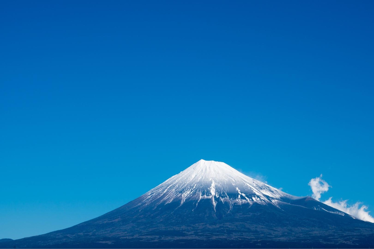 Mount Fuji, Oshino Hakkai & Outlet Onsen Day Tour From Tokyo Departure From Tokyo Station