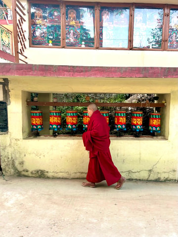 Four Day Himalayan Adventure from delhi