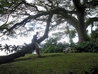 Half Island Tour - Housity