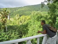 Half Island Tour - Housity