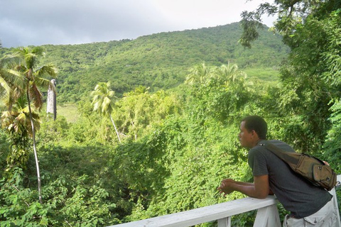 Visite complète de l'île de Saint-Kitts : 4 heuresVisite en taxi de Saint-Christophe