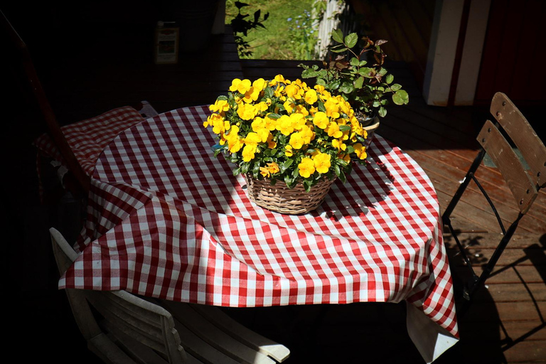 Oslo: Private Vintage Walking Tour with Photos Private Vintage Oslo Walk & Aesthetic Photos