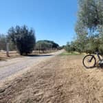 Il tour in e-bike su Leonardo Da Vinci con ingresso al museo/villa Medici