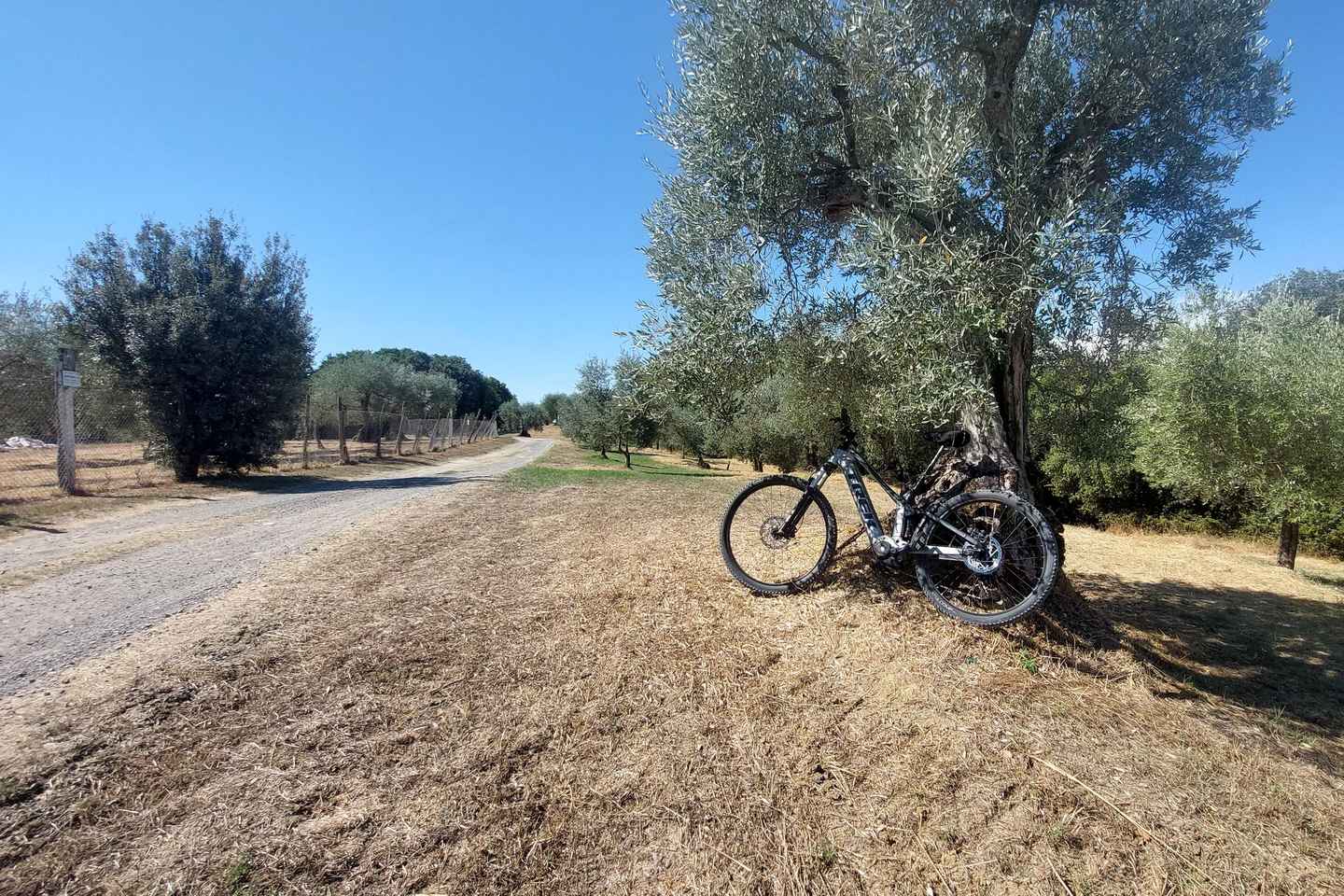 サン・ミニアートとメディチ邸の入場券付き、最後のブランチ体験