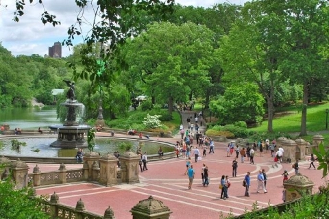 2-stündige Rikscha-Fahrt durch den Central ParkNew York: 2-stündige Rikscha-Fahrt durch den Central Park