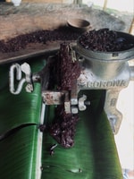 Chocolate making in an Indigenous Village and Waterfall Tour - Housity
