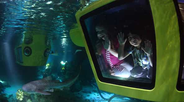ingressos legoland® windsor tour de 1 dia saindo de londres