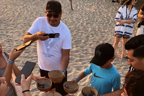 Puerto Escondido: Unforgettable Turtle Release Experience