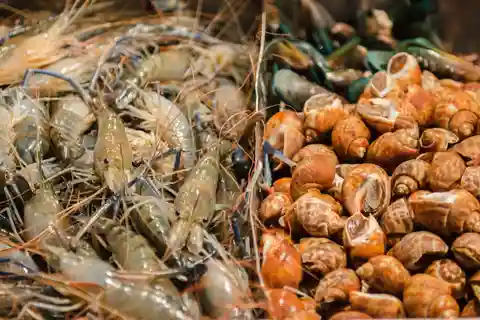 Bangkok Chinatown Nacht culinaire tour