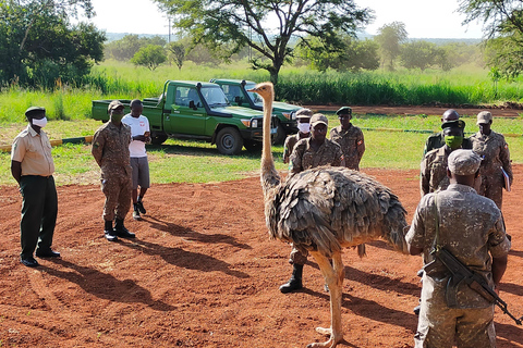 Uganda: 3 Days Exploring Pian Upe Wildlife Reserve