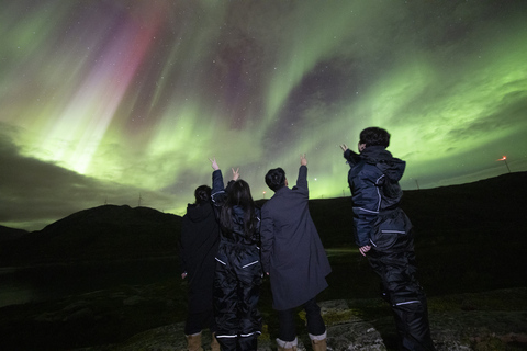 Von Tromsø: Nordlichtjagd mit Fotos &amp; SnacksNordlichtjagd in Tromso mit Fotos, Kleidern und Snacks