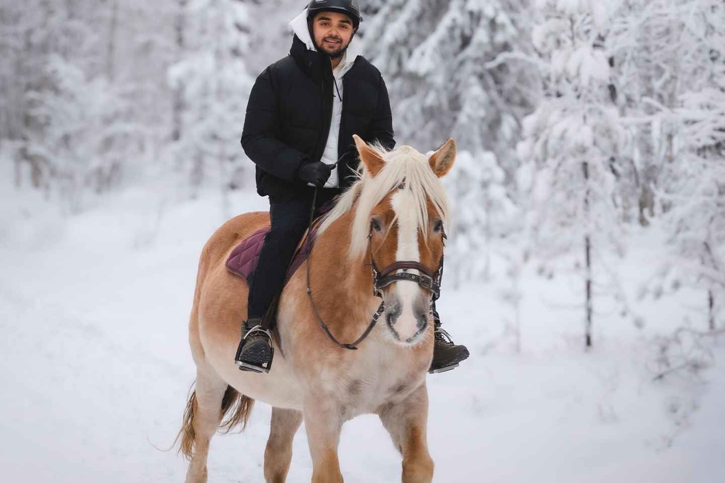 Rovaniemi: Reiðferð með Finnhestum við SCV