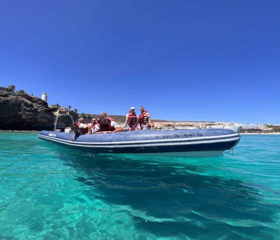 Visit Costa Calma Fuerteventura Dolphin Watching Zodiac Boat Tour in Costa Calma, Fuerteventura, Spain
