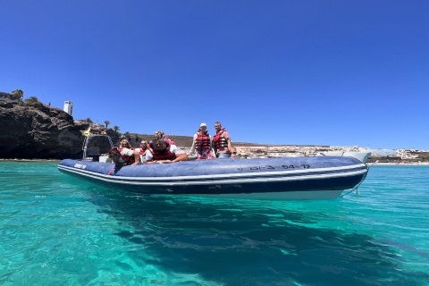 Fuerteventura: Doświadczenie delfinów z zodiakiemFuerteventura: doświadczenie delfinów