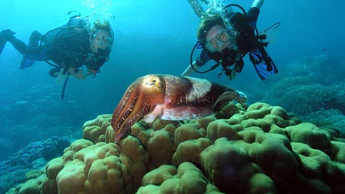 marmaris diving with lunch