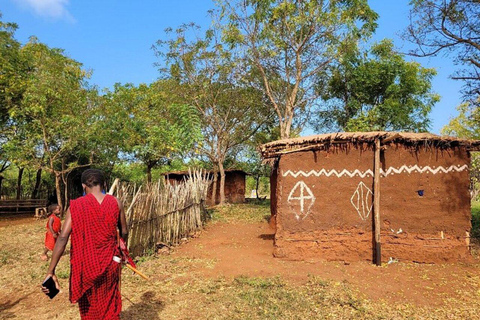 ZANZIBAR: Mnemba Island Dolphins & Maasai Village Experience