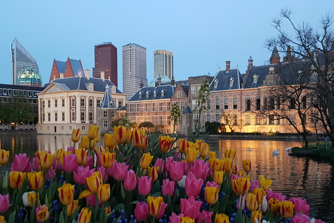 The Hague: Guided City Tour with High Tea at Hotel Des Indes