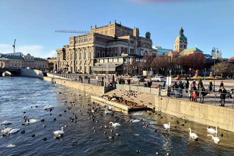Stockholm Deluxe Must-Do Tour: Old Town, Palace & City Hall Public Shared tour