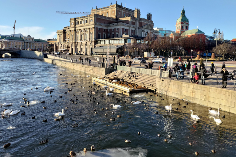 Stockholm Deluxe Must-Do Tour: Old Town, Palace & City Hall Public Shared tour
