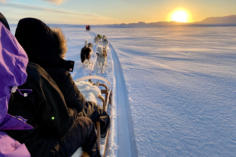 Island-Husky-Tour – Fahrt- und Kuschel-ErlebnisIsland: Husky-Schlittenfahrt und Kuschelerlebnis