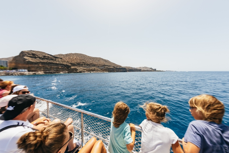 Gran Canaria: boottocht dolfijnspotten2 uur durende dolfijnen spotten cruise zonder transfer