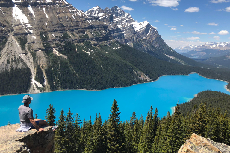De Calgary: Viagem de 1 dia ao Campo de Gelo Columbia, Lagos Peyto e BowPasseio com ingresso